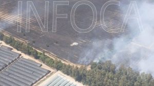 Controlado el incendio forestal del Parque Natural de Doñana