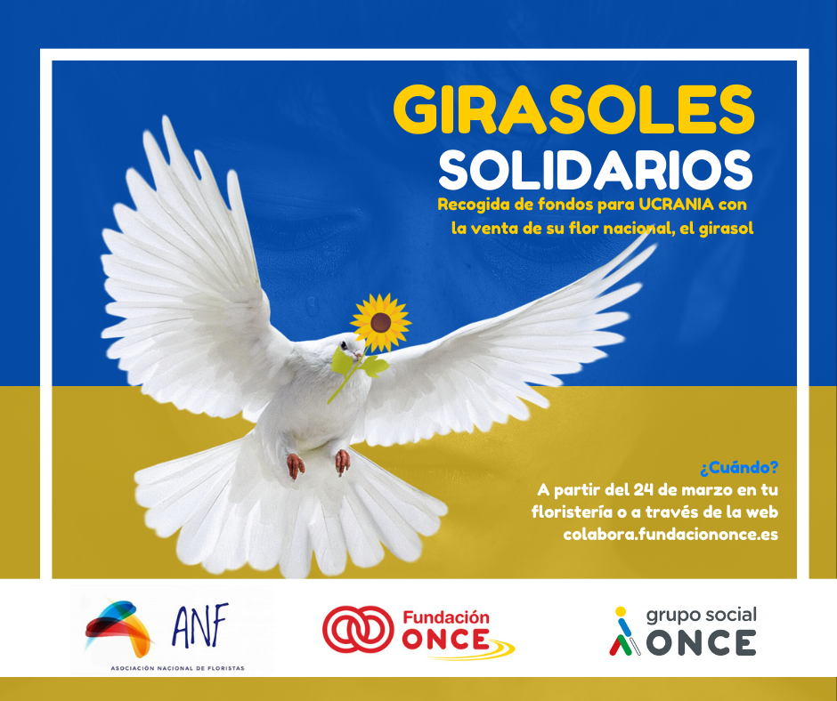 ‘Girasoles Solidarios’, campaña a favor de los refugiados ucranianos