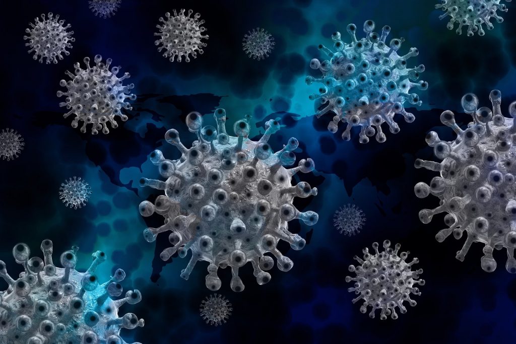 El sistema inmune en su conjunto restringe la evolución de los virus