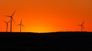 La nueva subasta de renovables se celebrará el 17 de mayo