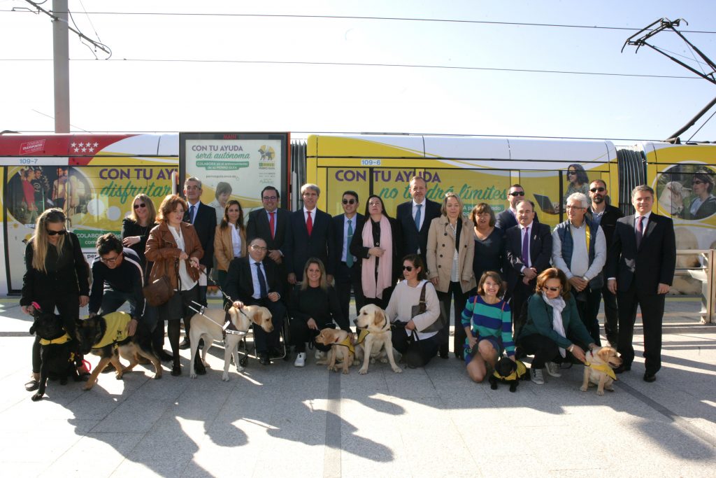 Los perros guía de la ONCE ‘viajan’ con el Metro Ligero Oeste