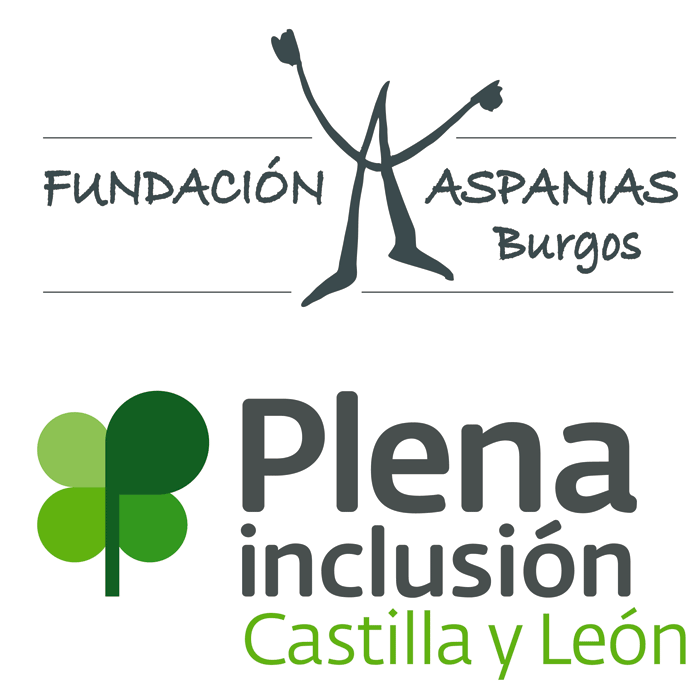 Fundación Aspanias Burgos ha acogido la primera reunión de trabajo del proyecto accesibilidad cognitiva al patrimonio europeo “Easy to Read Easy to Access”