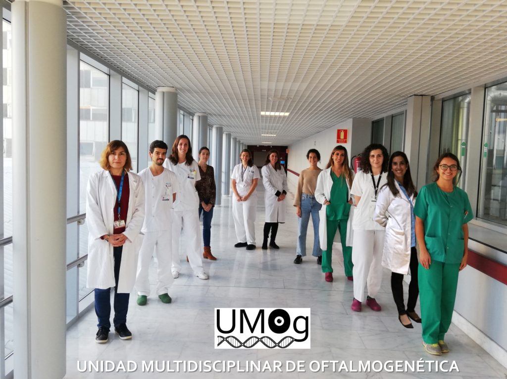 La ONCE y el Instituto de Genética Médica y Molecular (INGEMM) del Hospital La Paz colaboran en una investigación relacionada con las cataratas congénitas