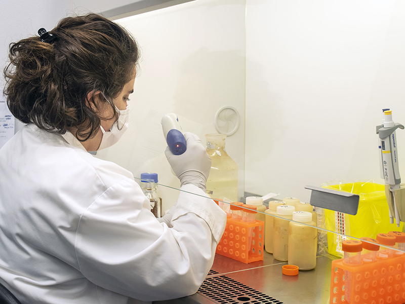Optimizan una prueba rápida de PCR para detectar selectivamente coronavirus potencialmente infecciosos