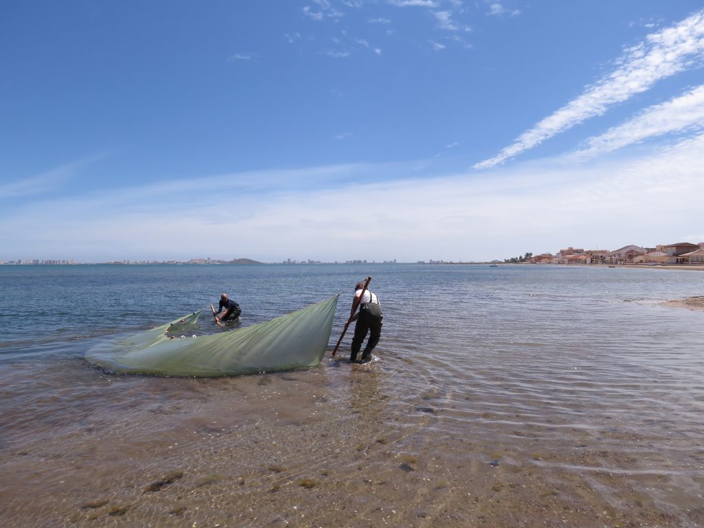 Un proyecto diseña una hoja de ruta con 14 soluciones para el desarrollo sostenible del Mar Menor
